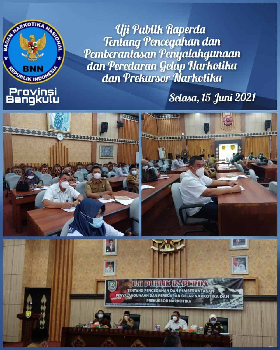 Uji Publik Raperda Pencegahan dan Pemberantasan Peredaran Gelap Narkotika dan Prekursor Narkotika (P4GN) Uji Publik Raperda Pencegahan dan Pemberantasan Peredaran Gelap Narkotika dan Prekursor Narkotika (P4GN)
