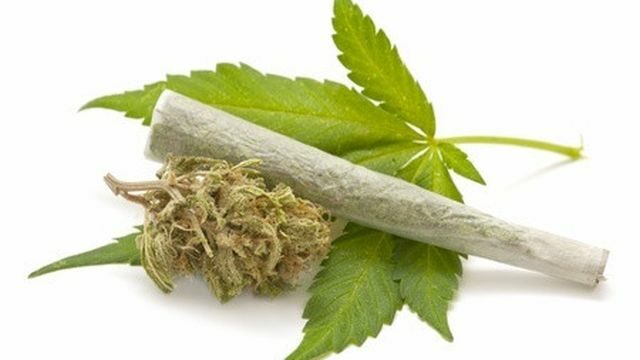 UNGKAP KASUS GANJA 143 KG DI PROVINSI BENGKULU UNGKAP KASUS GANJA 143 KG DI PROVINSI BENGKULU