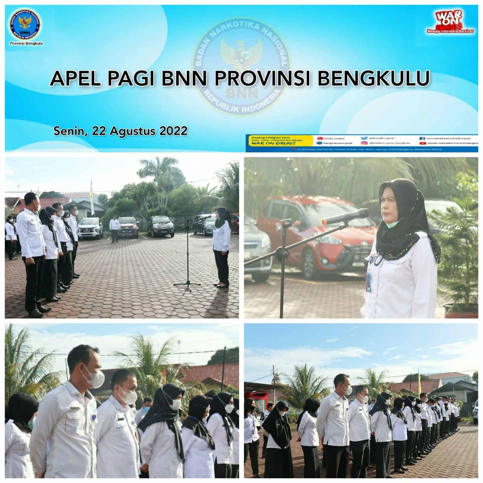 APEL PAGI PEGAWAI BADAN NARKOTIKA NASIONAL PROVINSI BENGKULU APEL PAGI PEGAWAI BADAN NARKOTIKA NASIONAL PROVINSI BENGKULU